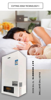 Private Form 24KW Wandmontierter Gasboiler für Heizung von Häusern Tankloser Instant Gaswasserbereiter