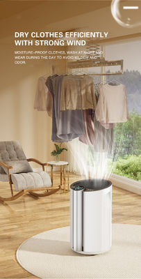 Seidenbildschirmdruck Hausfeuchtigkeitsabsorber Luftentfeuchter für das ganze Haus