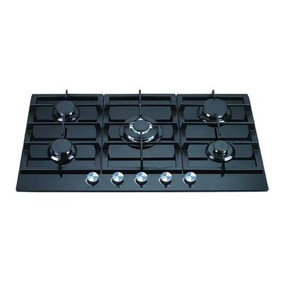 Elektronische Zündung 5 Gasbrenner für private Schimmelgasgeräte