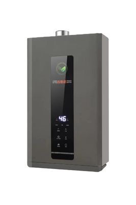 Auto-Gas-Wasserbereiter 8L/10L/12L/16L LPG/LNG Instant Tankless Propan zur Heizung von Häusern